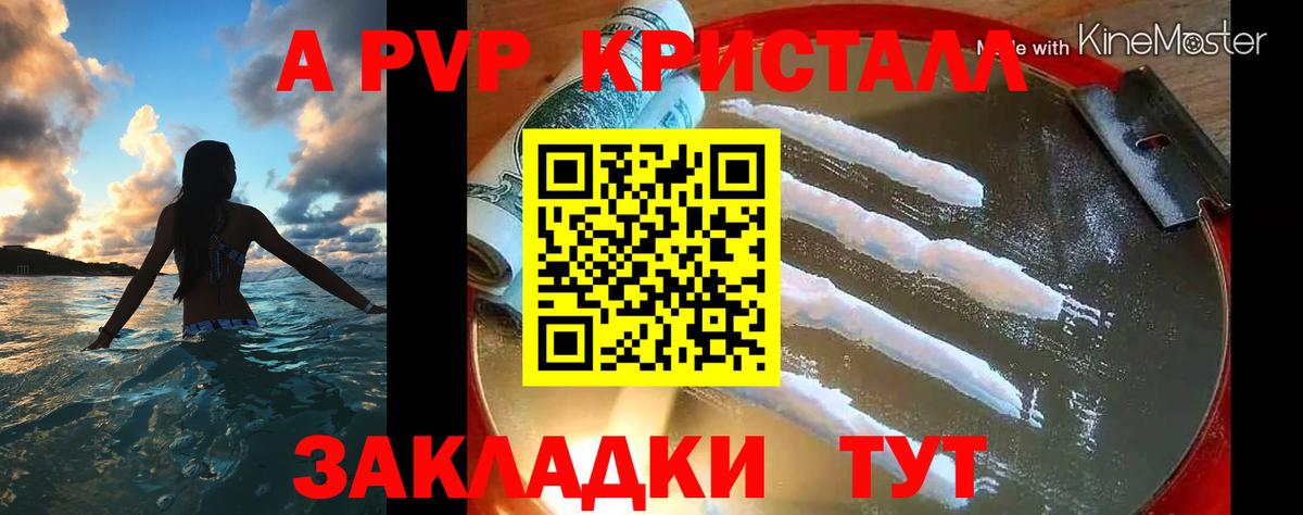 Альфа ПВП СК Архангельск
