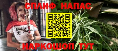 твердый Ставрополь